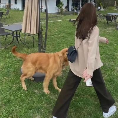 谷穗黄了